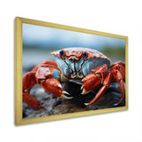 Crab Coastal Guardian - Crab Wall Art Prints