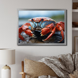 Crab Coastal Guardian - Crab Wall Art Prints