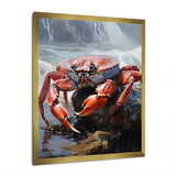 Crab Coastal Sentry - Crab Living Room Wall Art