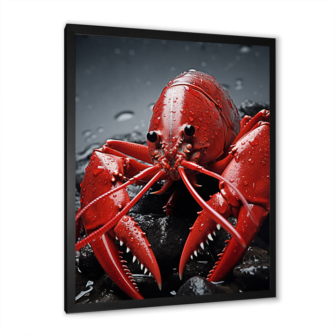 Crayfish Elusive Crayfish - Coral Crayfish Wall Art