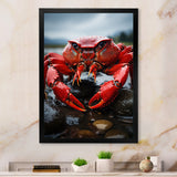 Vibrant Crayfish Portrait - Crayfish Framed Canvas Art