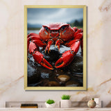 Vibrant Crayfish Portrait - Crayfish Framed Canvas Art