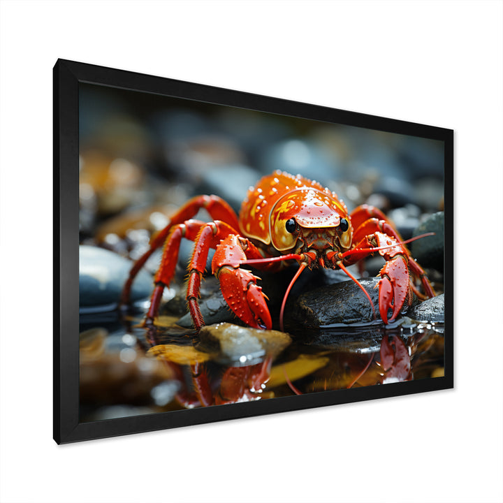Crayfish River Jewels - Crayfish Large Canvas Wall Art