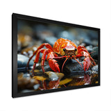 Crayfish River Jewels - Crayfish Large Canvas Wall Art