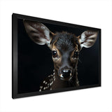 Black And White Deer Portrait - Animals Canvas Wall Art