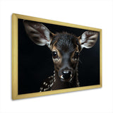 Black And White Deer Portrait - Animals Canvas Wall Art