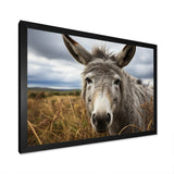 Grey Donkey Gentle Companion - Donkey Home Decor Art