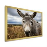 Grey Donkey Gentle Companion - Donkey Home Decor Art