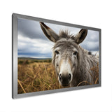 Grey Donkey Gentle Companion - Donkey Home Decor Art