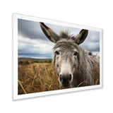 Grey Donkey Gentle Companion - Donkey Home Decor Art