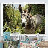 Grey Donkey Gentle Companion Pastoral - Donkey Bedroom Wall Art