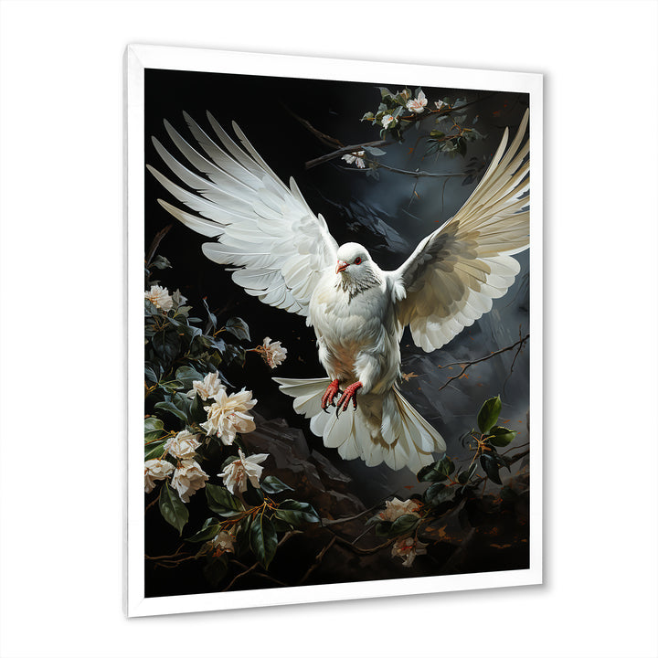 White Dove Messenger Of Peace - White Dove Wall Art