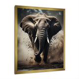 Elephant Glimmers Of Grace - Elephant Bedroom Wall Art