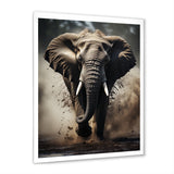 Elephant Glimmers Of Grace - Elephant Bedroom Wall Art