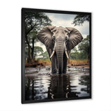 Elephant Majestic Reflections - Elephant Wall Decor