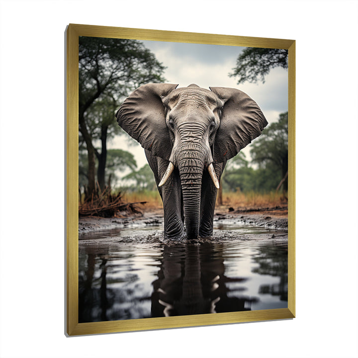 Elephant Majestic Reflections - Elephant Wall Decor