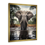 Elephant Majestic Reflections - Elephant Wall Decor