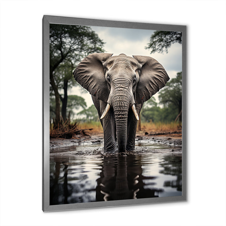 Elephant Majestic Reflections - Elephant Wall Decor
