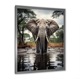 Elephant Majestic Reflections - Elephant Wall Decor