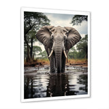 Elephant Majestic Reflections - Elephant Wall Decor