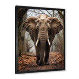 Elephant Portrait Vibrant - Gray Elephant Wall Art