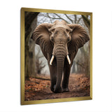Elephant Portrait Vibrant - Gray Elephant Wall Art
