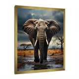 Elephant Tales From Afar - Elephant Large Canvas Wall Art