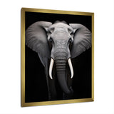 Elephant Tusked Elegance - Elephant Home Decor Art