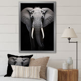 Elephant Tusked Elegance - Elephant Home Decor Art