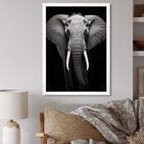 Elephant Tusked Elegance - Elephant Home Decor Art