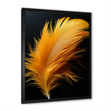Orange Feather Elegance - Feathers Wall Decor
