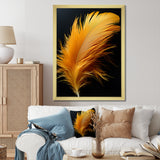 Orange Feather Elegance - Feathers Wall Decor
