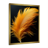 Orange Feather Elegance - Feathers Wall Decor