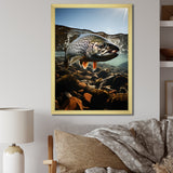 Fishing Vibrant Photo - Gray Fish Wall Art