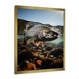 Fishing Vibrant Photo - Gray Fish Wall Art