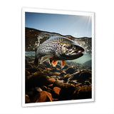 Fishing Vibrant Photo - Gray Fish Wall Art