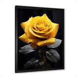 Yellow Black Rose Elegance III - Floral Canvas Wall Art