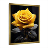 Yellow Black Rose Elegance III - Floral Canvas Wall Art