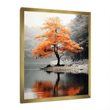 Orange And Grey Forest Autumn Elegance II - Landscapes Canvas Wall Art