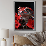Red Frog Portrait - Frog Wall Decor