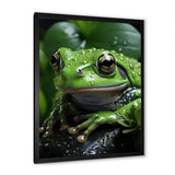 Green Frog Portrait - Frog Wall Art Prints