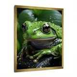 Green Frog Portrait - Frog Wall Art Prints