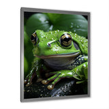 Green Frog Portrait - Frog Wall Art Prints