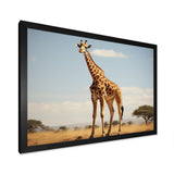Giraffe Gentle Horizon - Giraffe Living Room Wall Art
