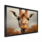 Giraffe Gentle Portrait - Giraffe Bedroom Wall Art