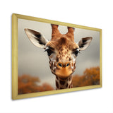 Giraffe Gentle Portrait - Giraffe Bedroom Wall Art