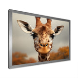 Giraffe Gentle Portrait - Giraffe Bedroom Wall Art