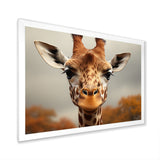 Giraffe Gentle Portrait - Giraffe Bedroom Wall Art