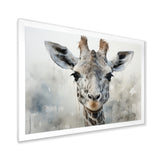 Giraffe Graceful Necks - Giraffe Canvas Wall Art