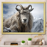 Goat Mountain Guardian - Goat Wall Art Prints